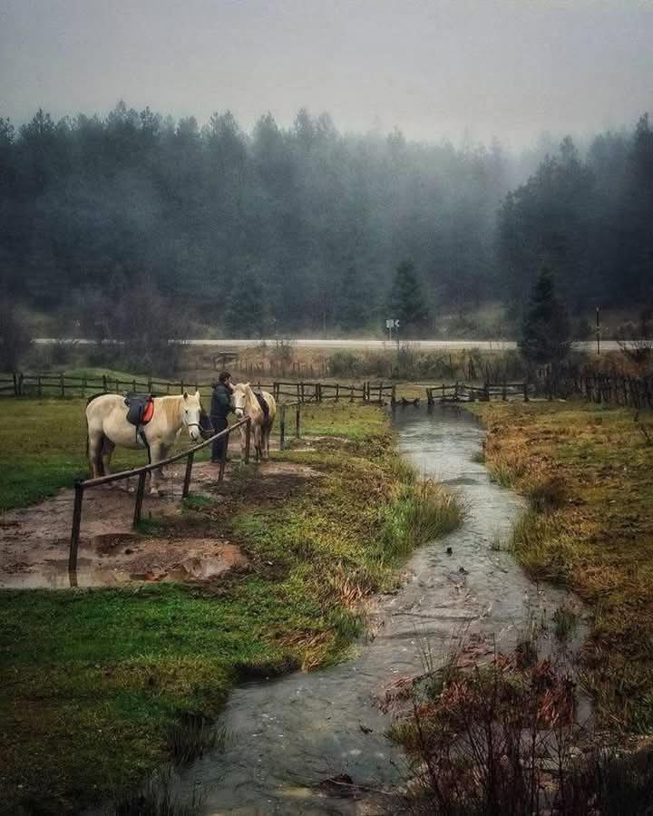 Archontiko Tou Krommyda Eláti Esterno foto