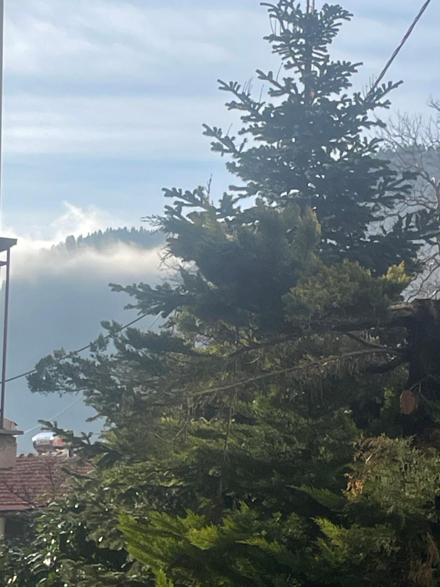 Archontiko Tou Krommyda Eláti Esterno foto
